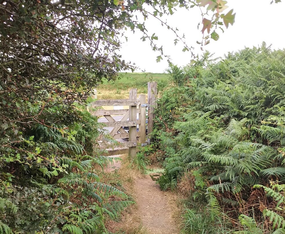 Boscawen-un Stone Circle-彭赞斯必去景点