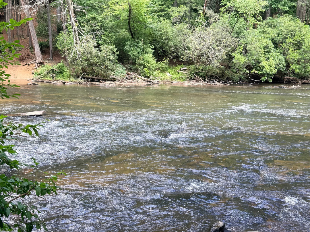 Swinging Bridge on the Toccoa River-蓝岭必去景点