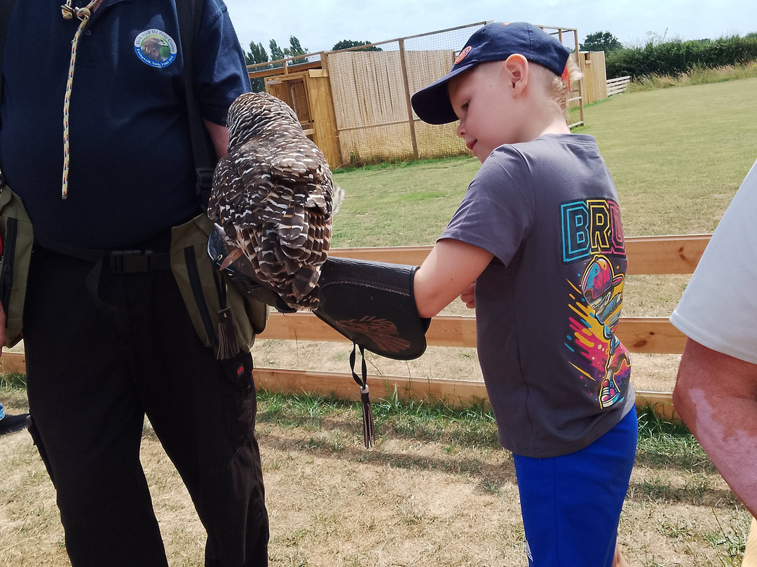 York Bird of Prey Centre-伊辛瓦必去景点