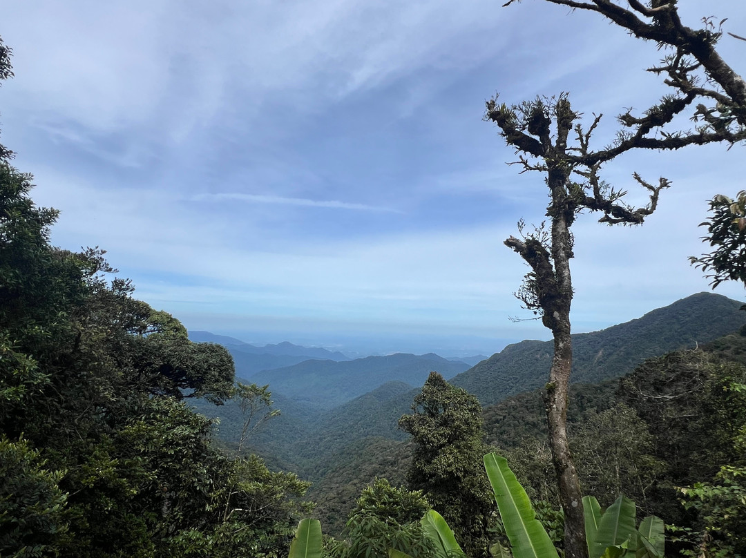 Eco Cameron Travel & Tours-金马仑高原必去景点