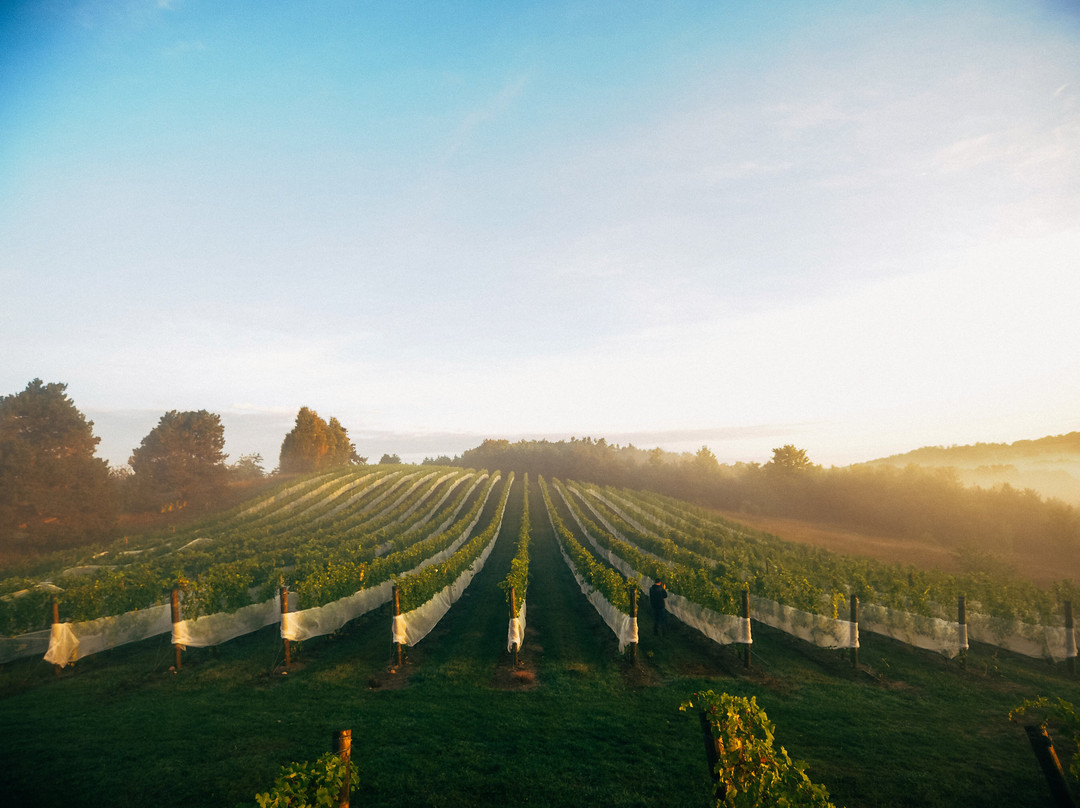 45 North Vineyard & Winery-Lake Leelanau必去景点