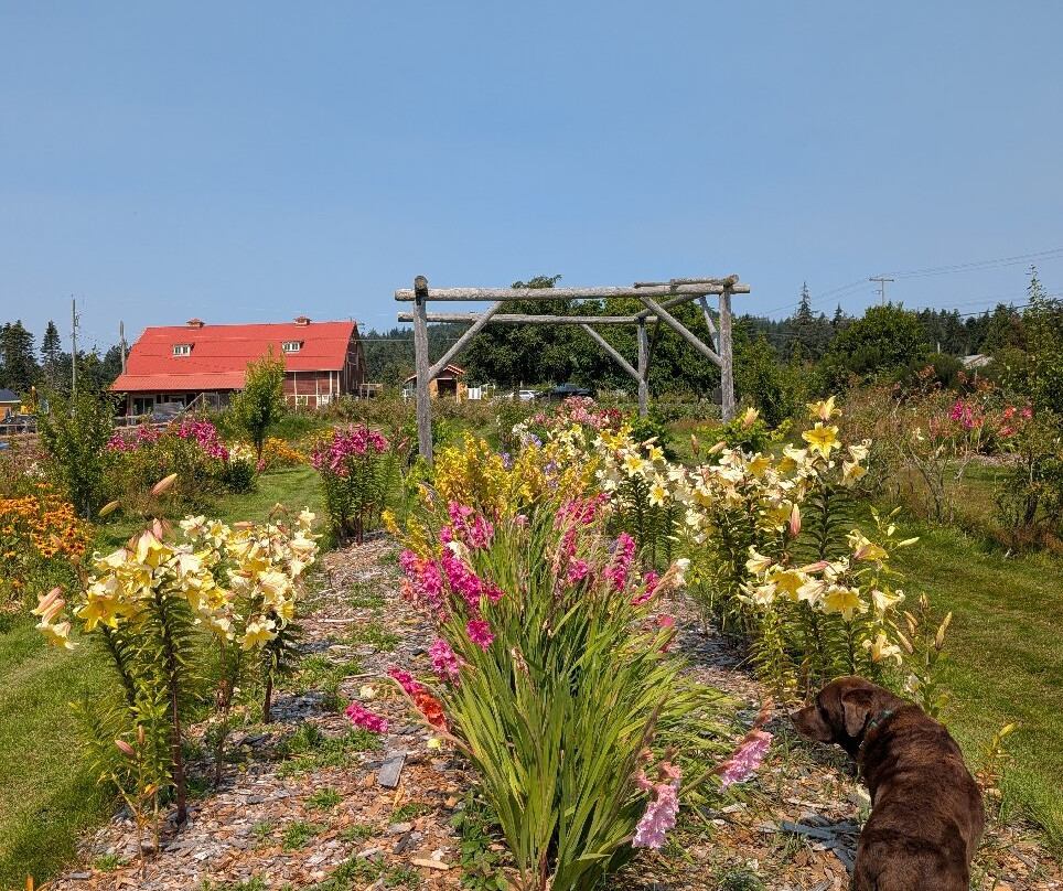 Woodside Farm-苏克必去景点