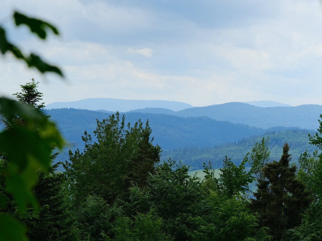 Gora Parkowa-Krynica-Zdroj必去景点