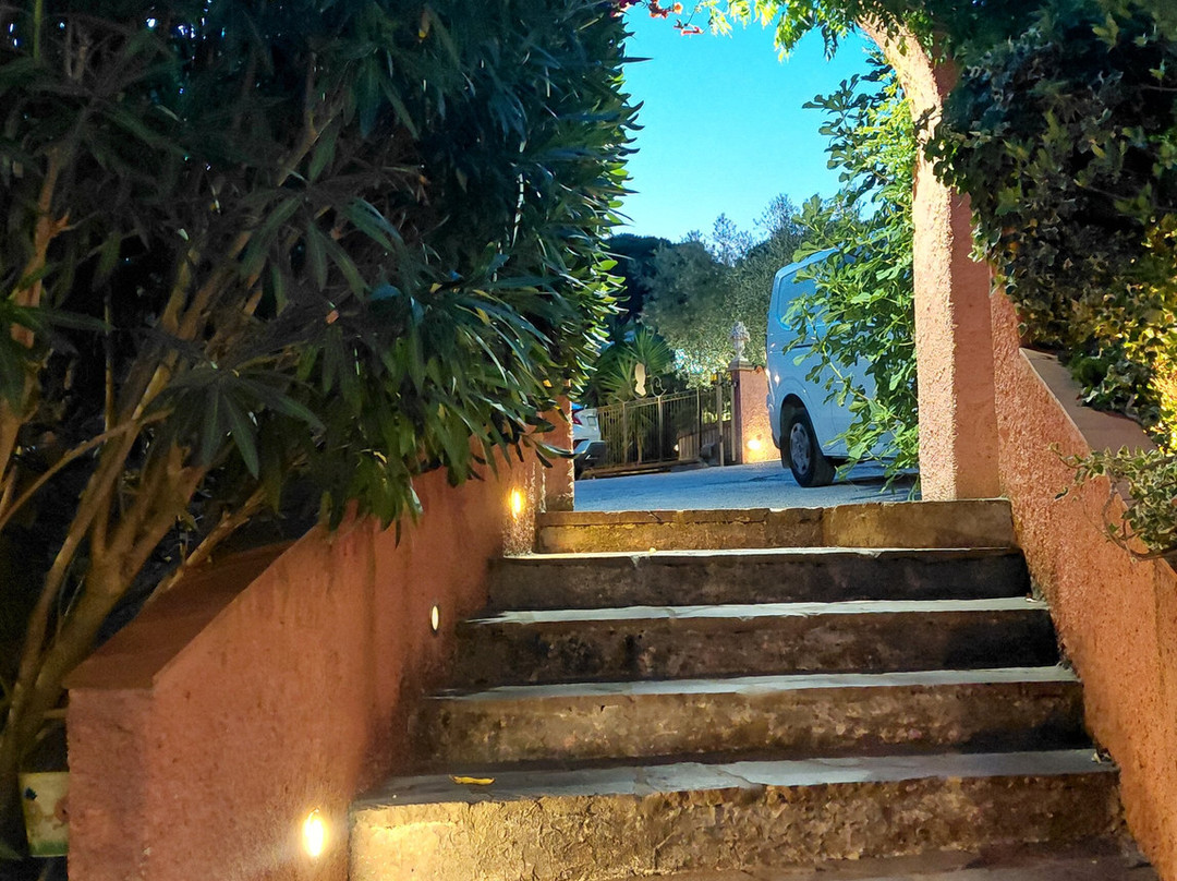Hotel Casanova主图