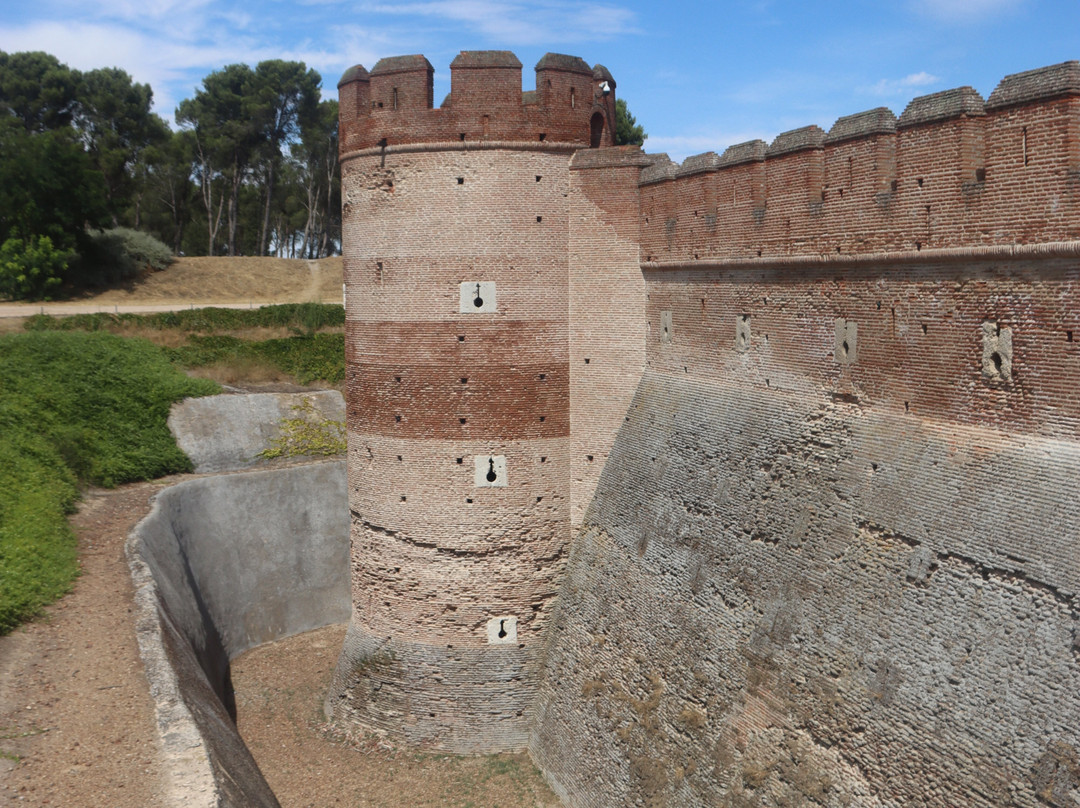 Castillo de la Mota-Medina del Campo必去景点