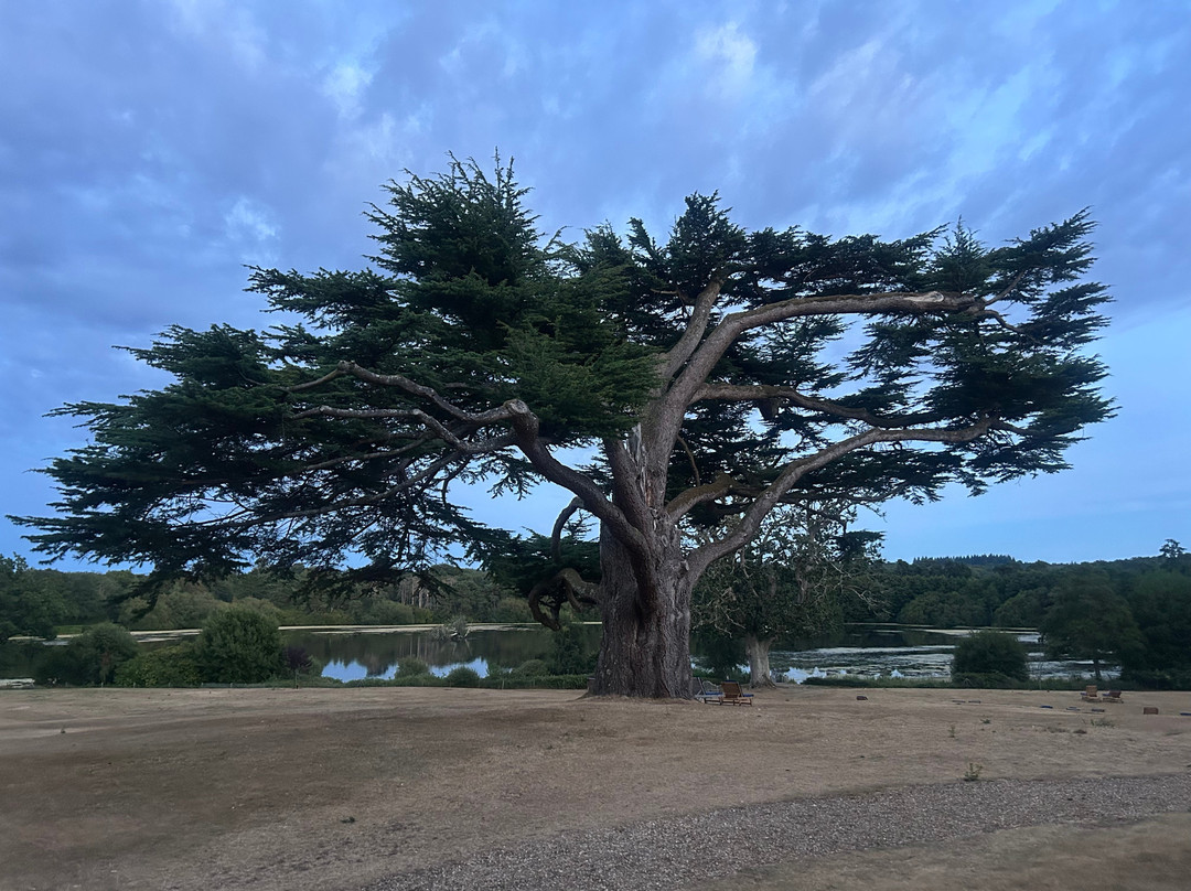 Champneys Forest Mere Spa-Liphook必去景点