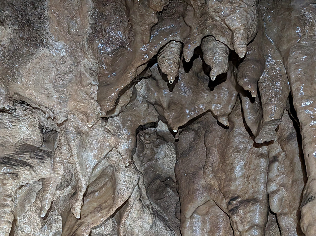 Grotte di CastelloTesino-Castello Tesino必去景点