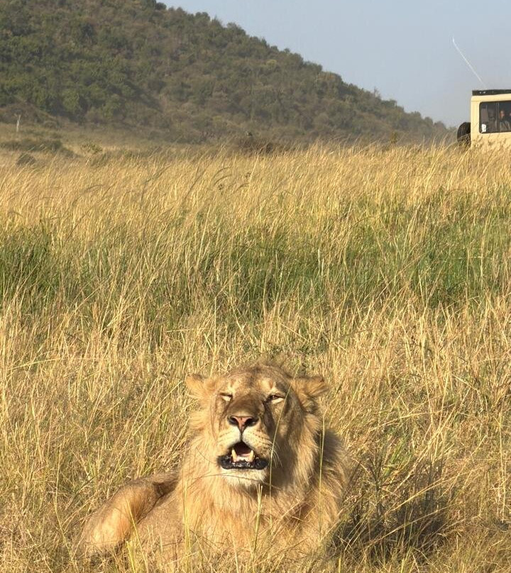 Garibaldi Safari Kenya-瓦塔木必去景点