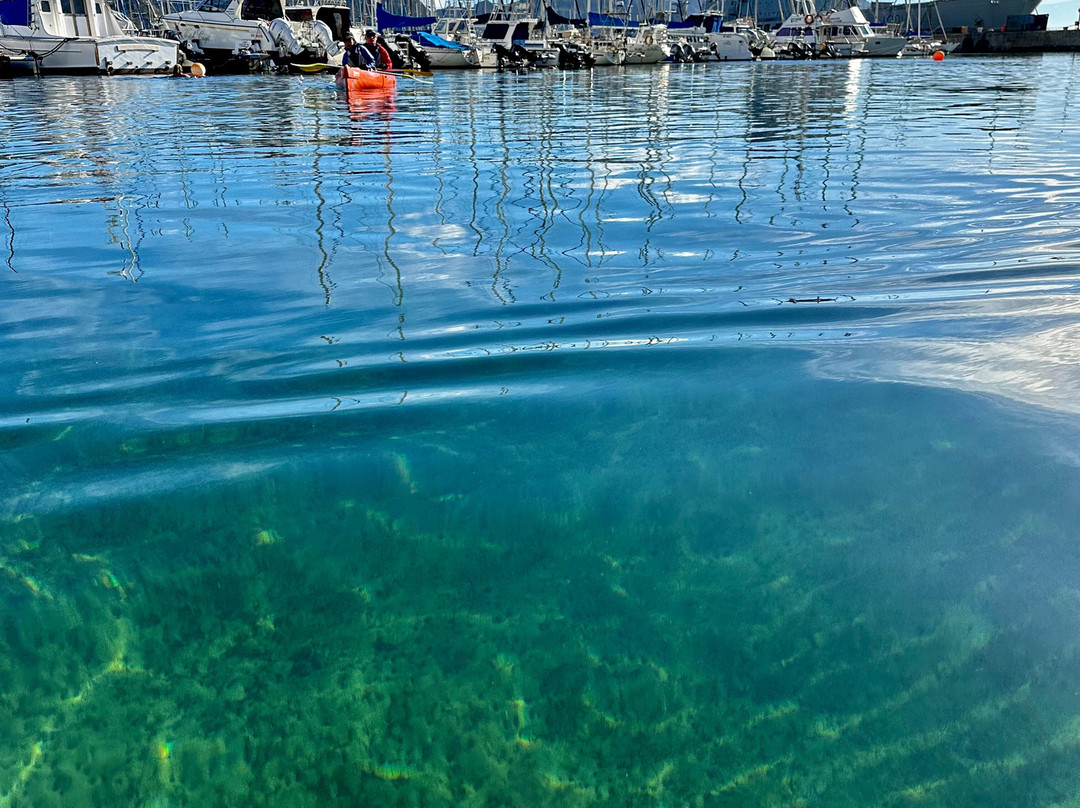 Paddle Experience: Kayak in Cape Town-西门镇必去景点