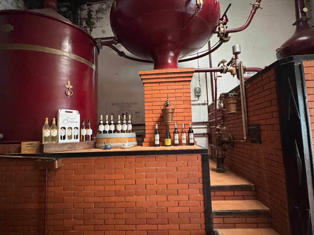 Domaine De Birius-Biron必去景点