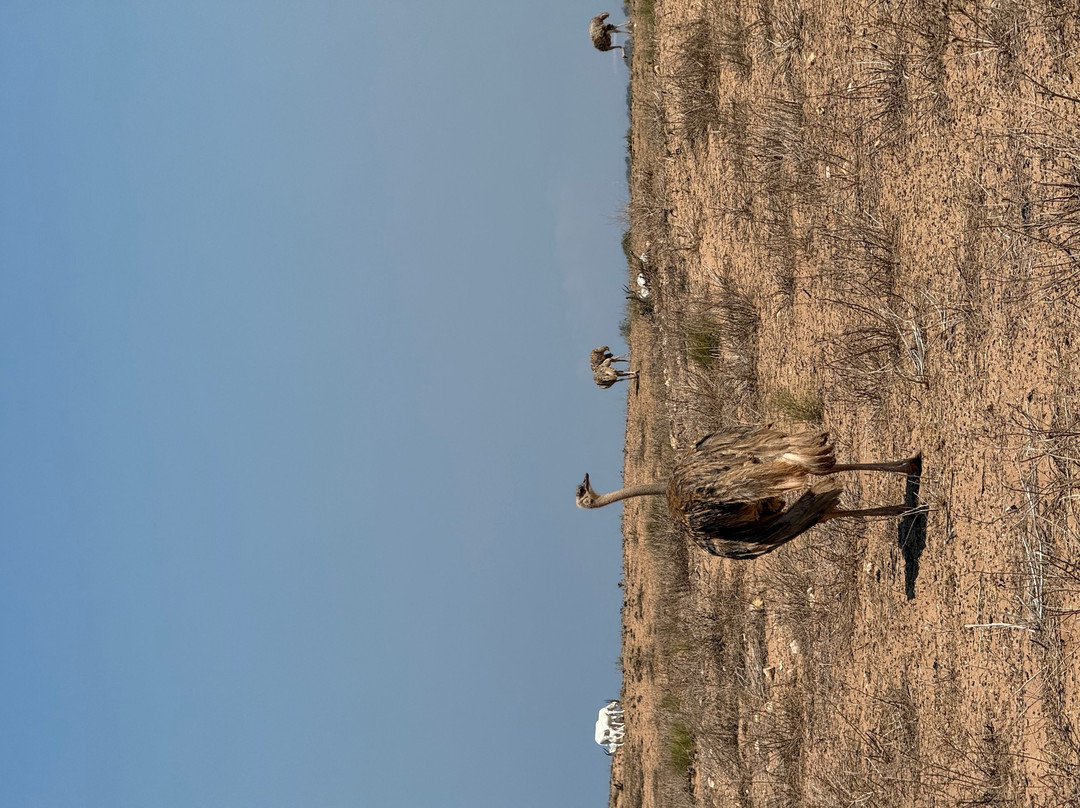 Parc Nacional de Souss-Massa-Takate必去景点