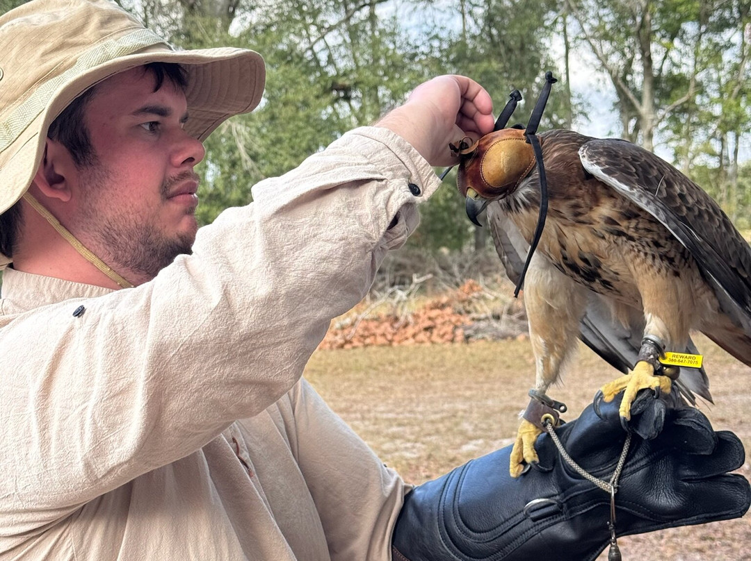 International Falconry Academy-Live Oak必去景点