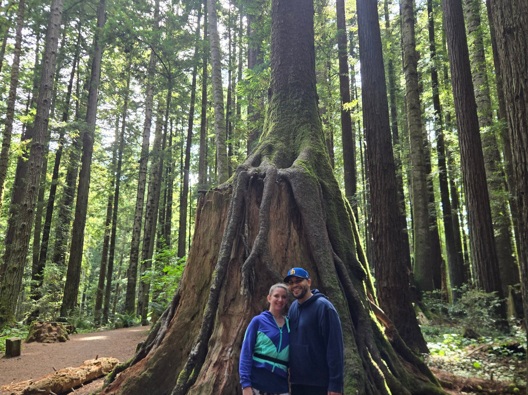 Wildtrail Tours-Arcata必去景点