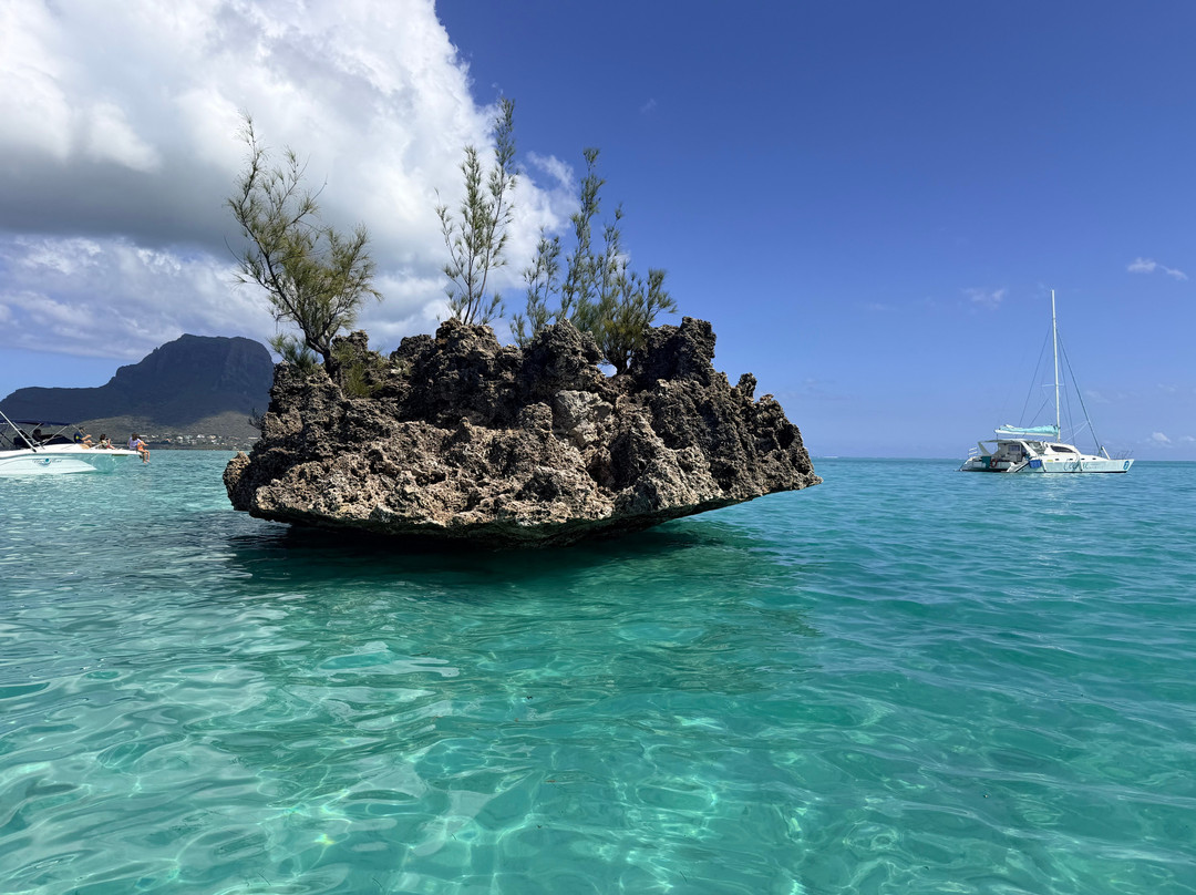 Vitamin Sea Mauritius-黑河必去景点