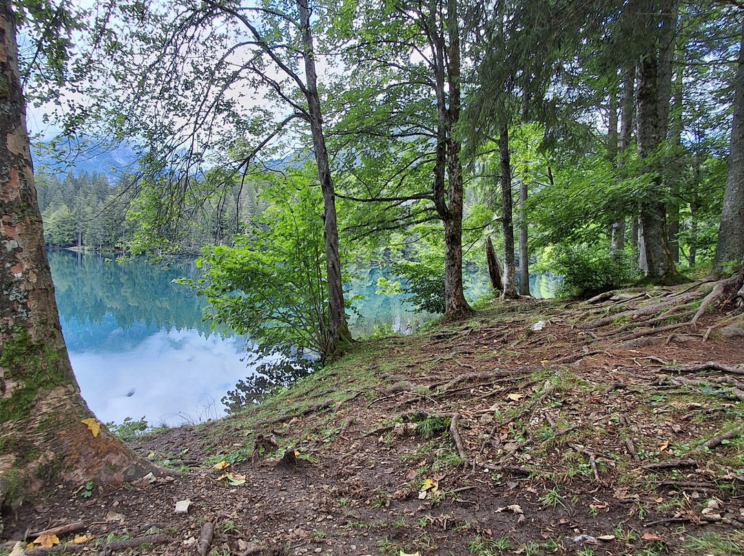 Laghi Di Fusine-Tarvisio必去景点