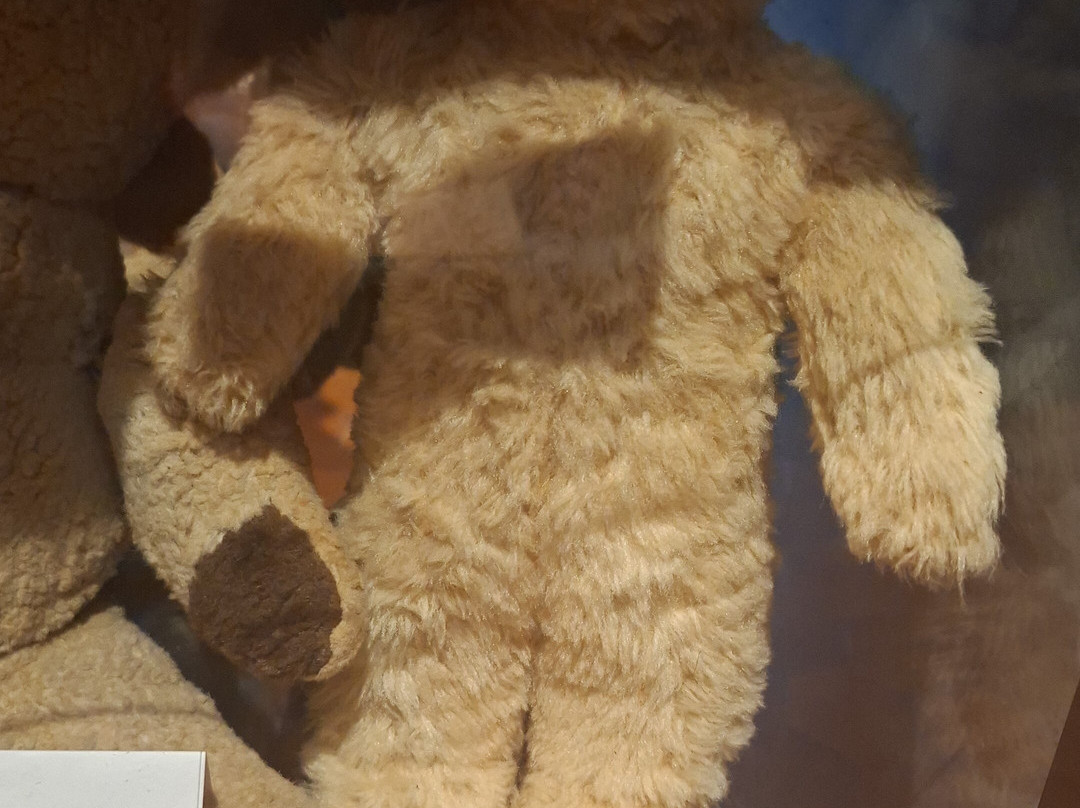 Musée De L'ours-Louhans必去景点