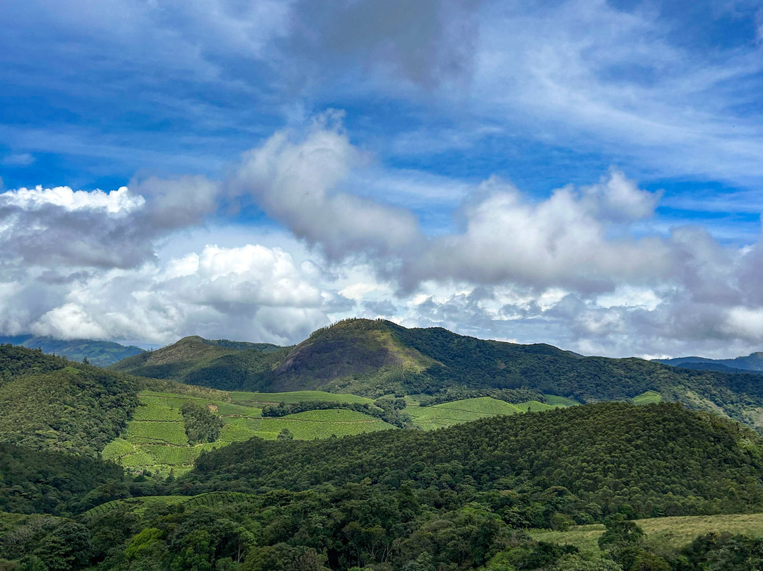 Rajamalai (Eravikulam) National Park-慕那尔必去景点