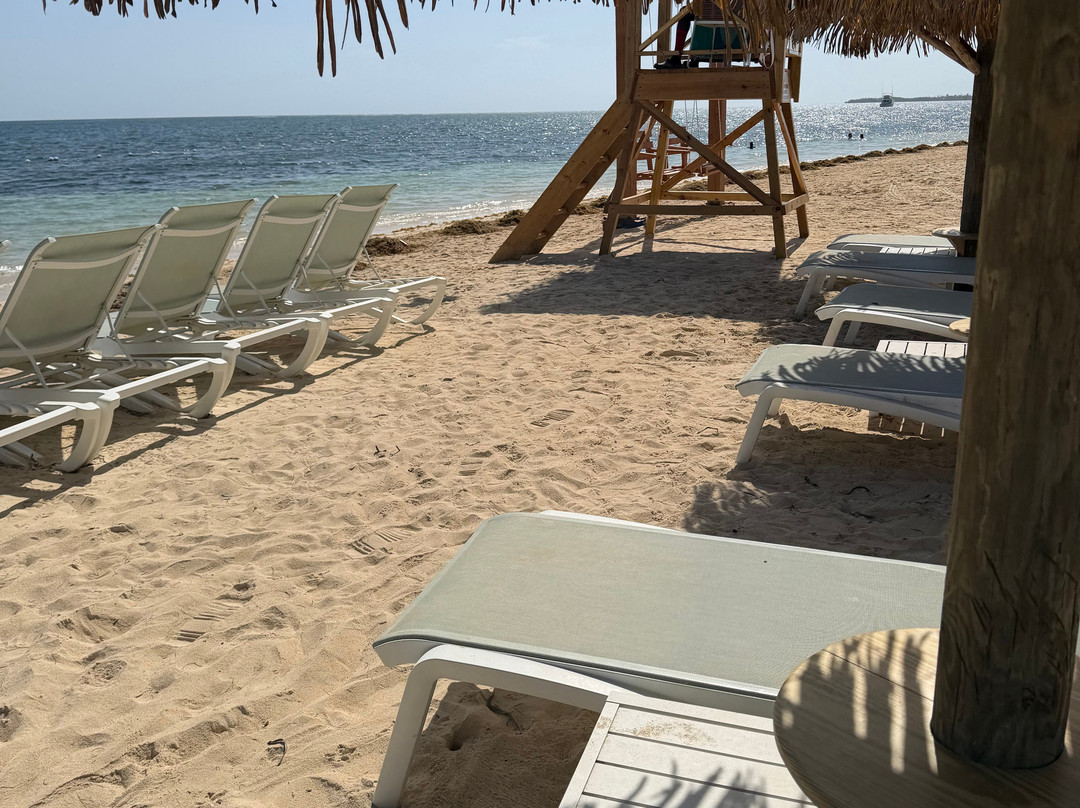 Iberostar Waves Rose Hall Beach主图