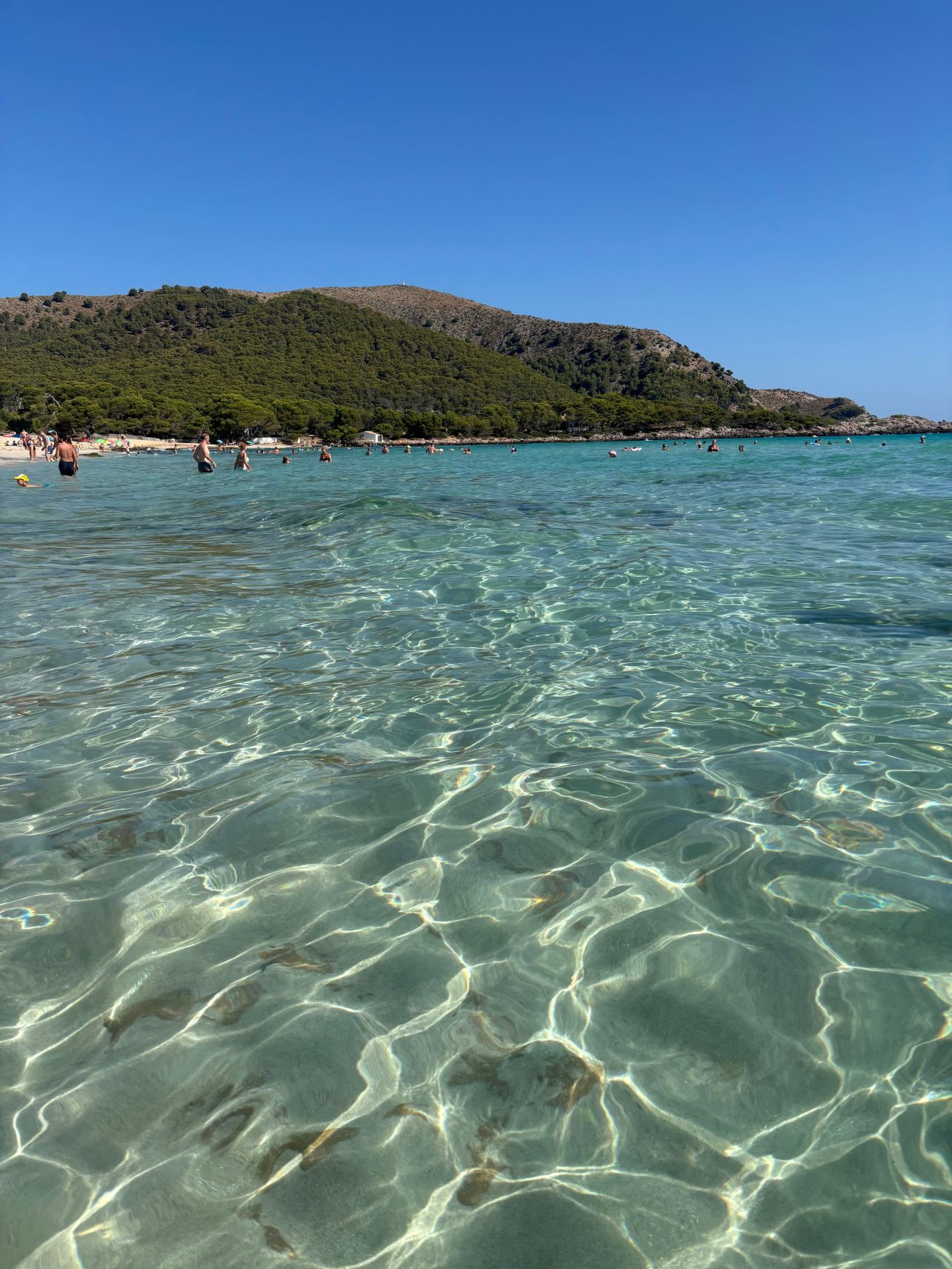 森塔多尔海滩水疗酒店-旅行者