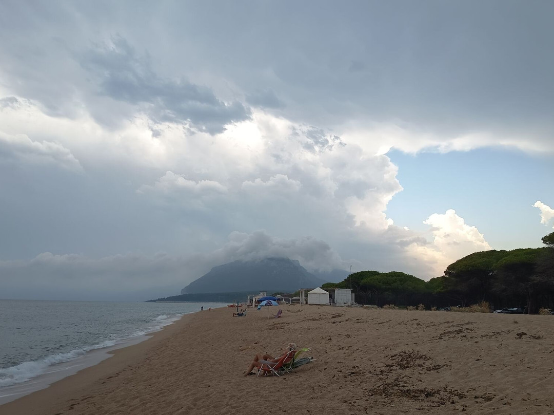 Spiaggia di Su Barone-奥罗塞必去景点