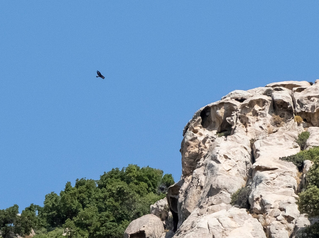 Best Sardinia Trips by Jebel Sardinia-奥罗塞必去景点