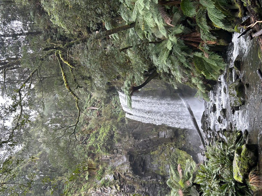 Hopetoun Falls-Beech Forest必去景点