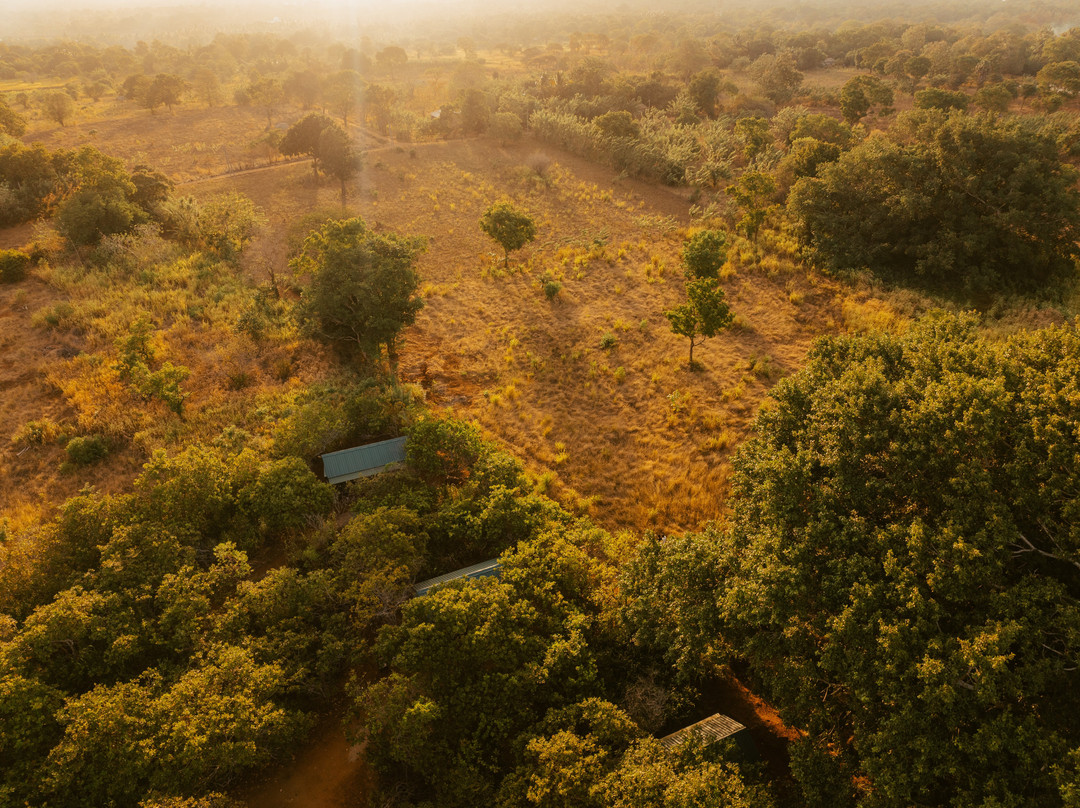 Wilpattu Wilderness Camping