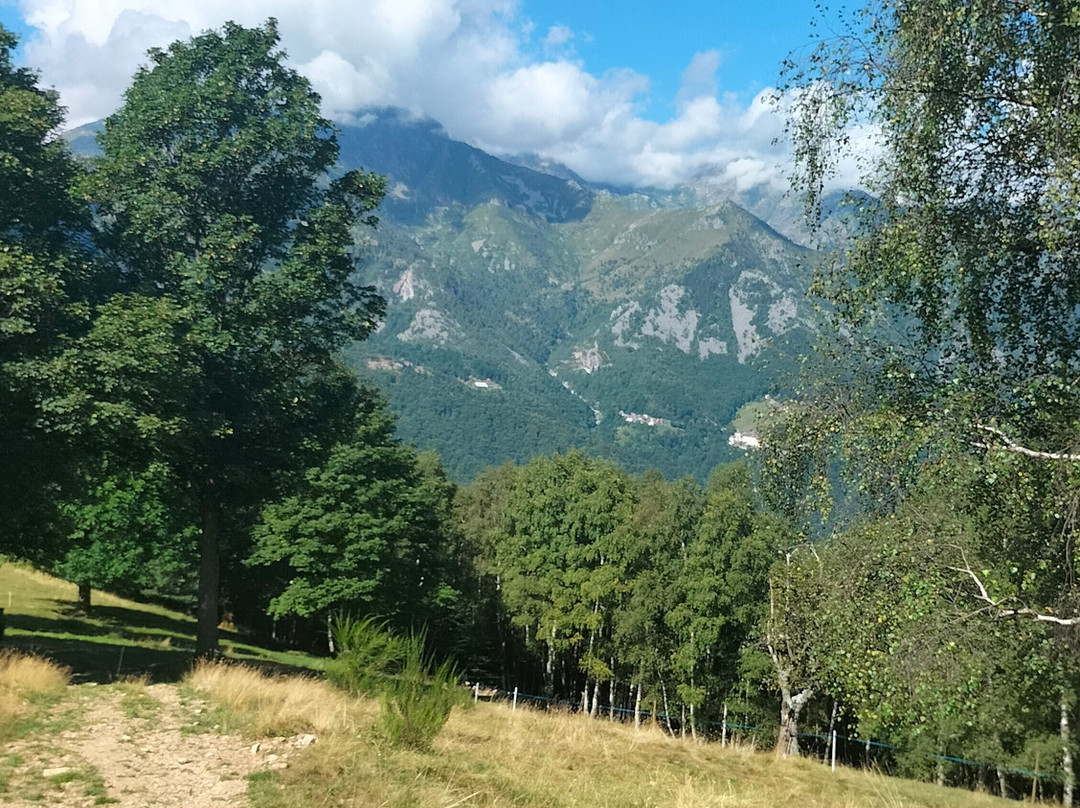 Strada Statale 232 Panoramica Zegna-Trivero必去景点