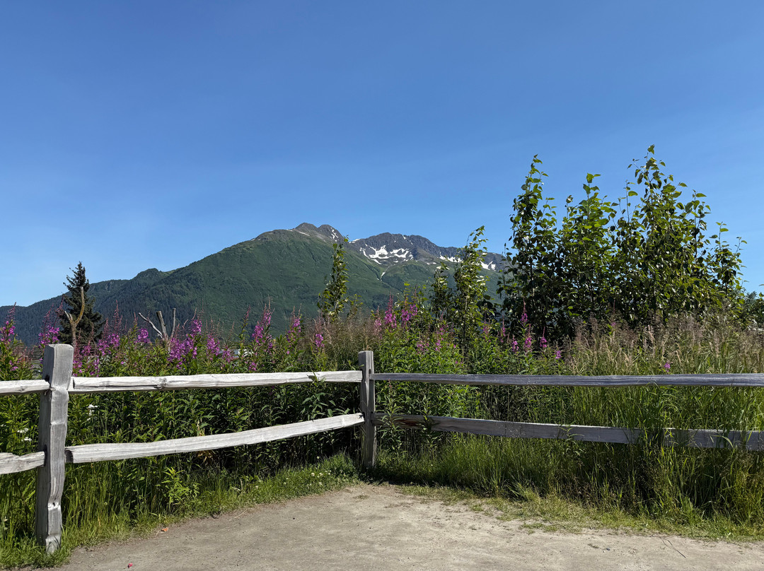 Alaska Wildlife Conservation Center-戈德伍德必去景点