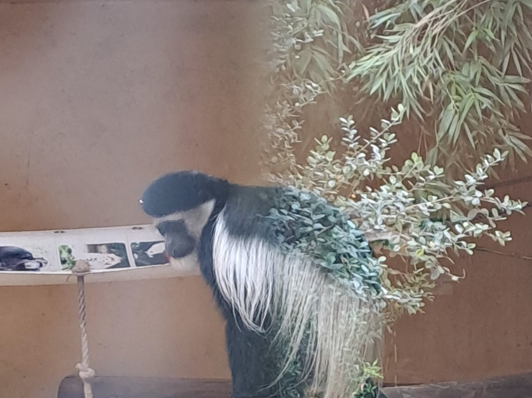 Zoo de La Fleche-La Fleche必去景点