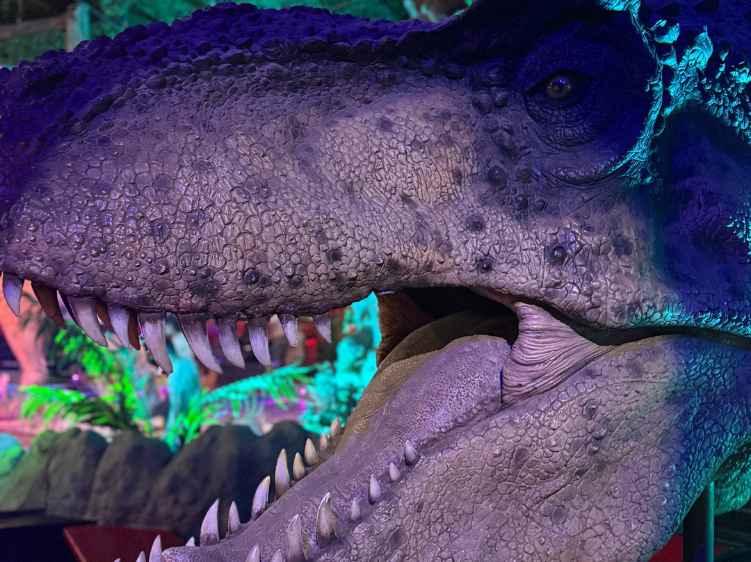 Dinopark Funtana-冯塔纳必去景点