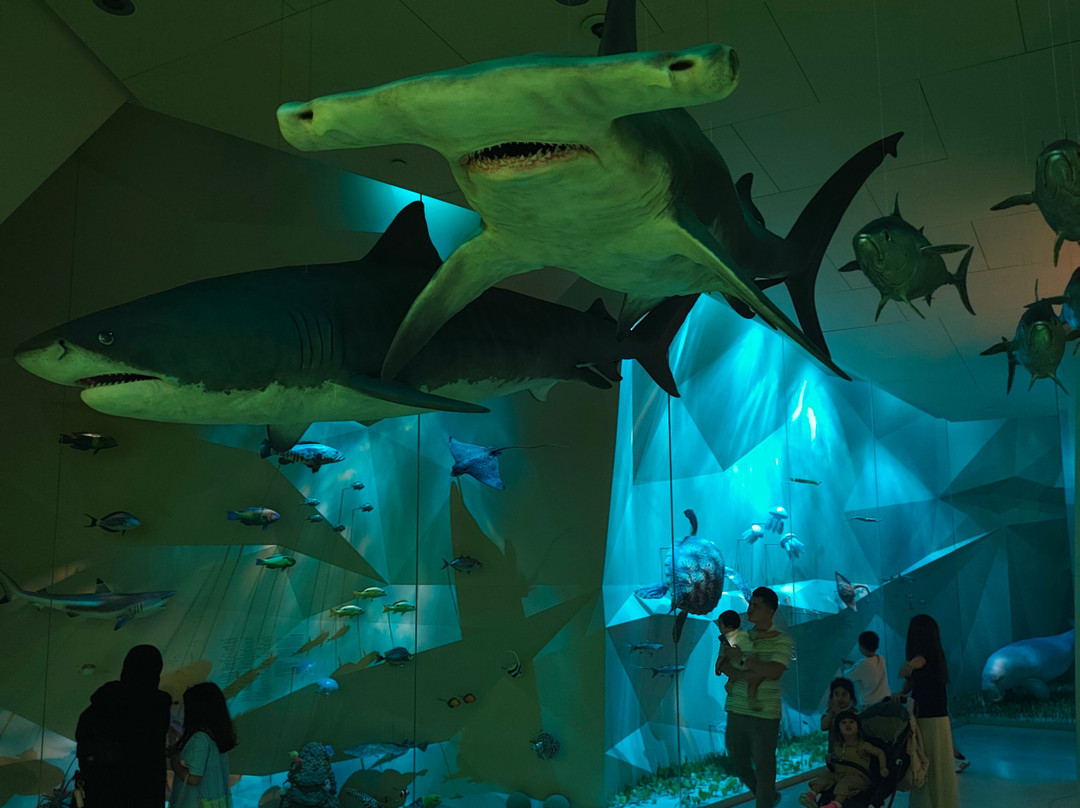 National Museum of Qatar-多哈必去景点