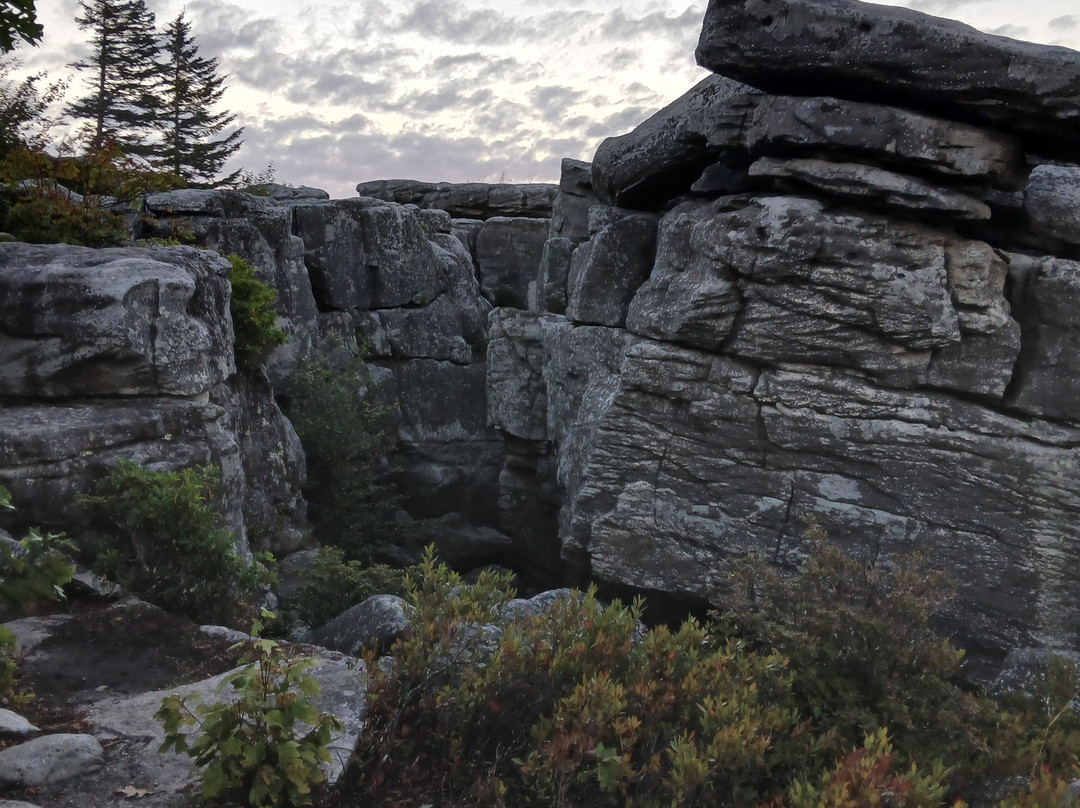 Bear Rocks Preserve-戴维斯必去景点