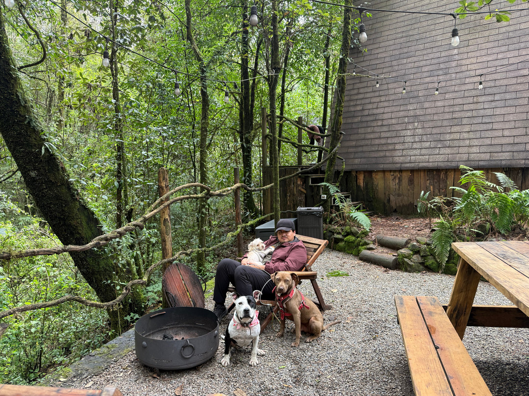 Wander Cabins