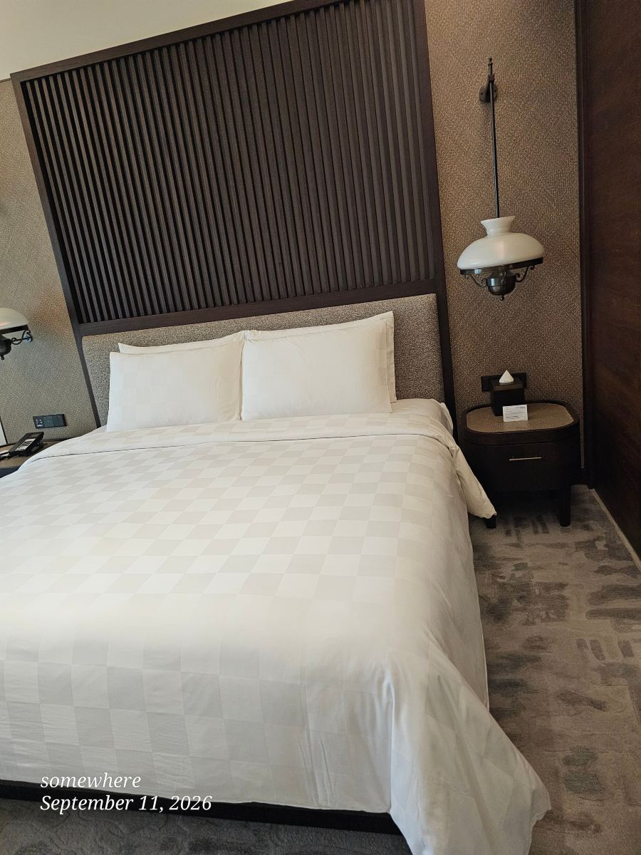 三宝垄帕德玛酒店-旅行者