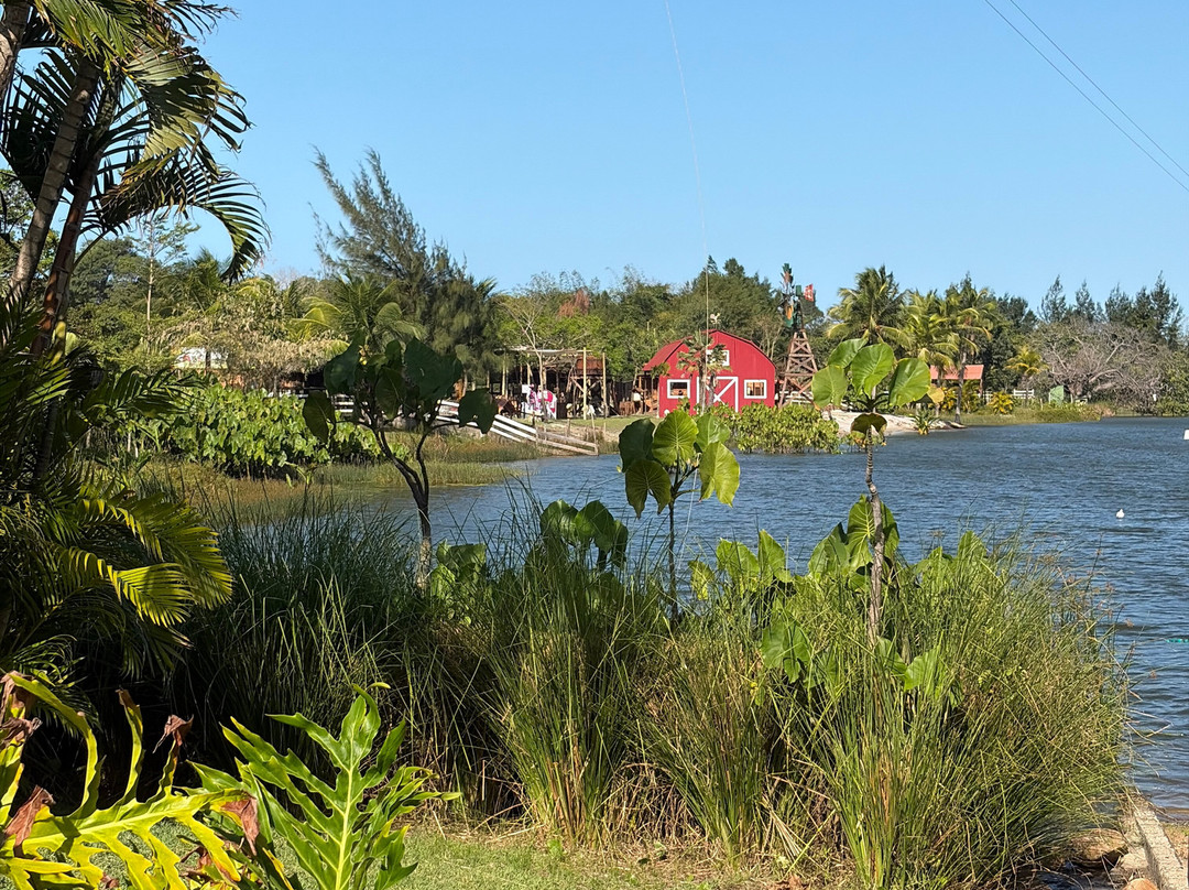 Fazendinha Adventure Park-Cumbuco必去景点