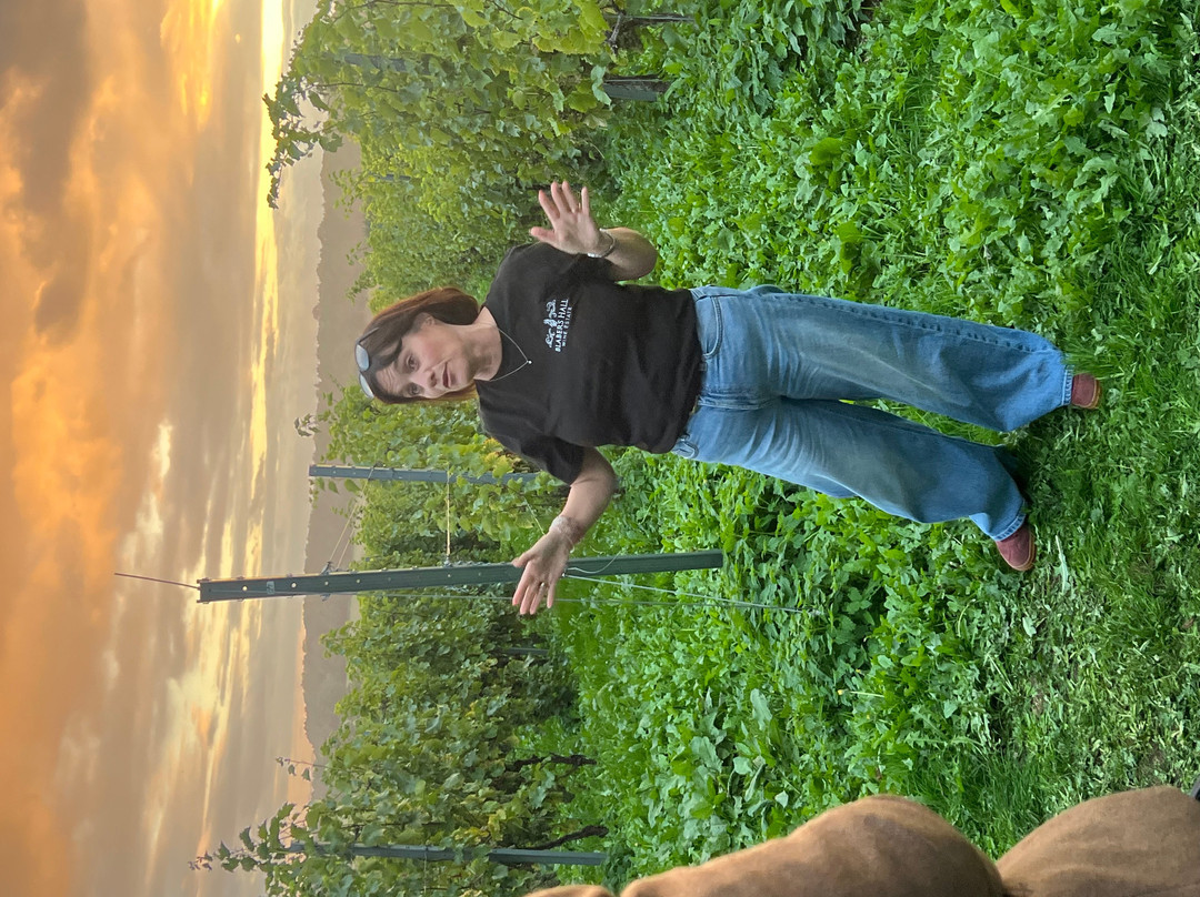 Blabers Hall Wine Estate-Fillongley必去景点