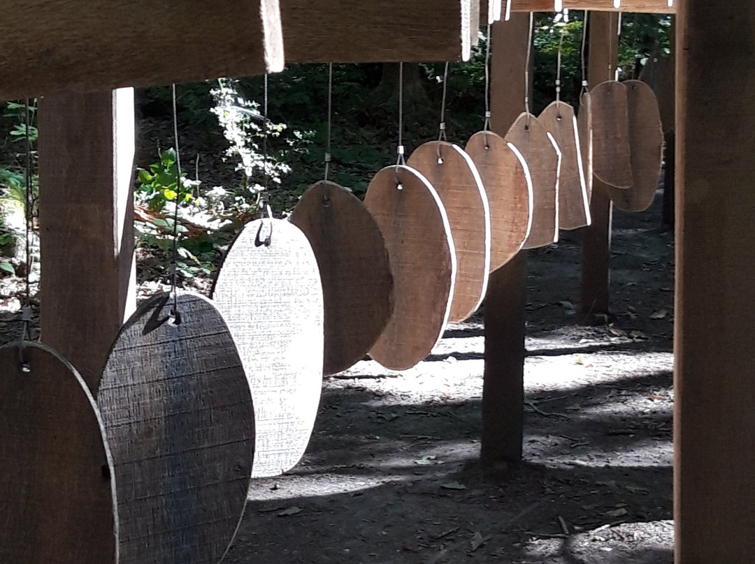 Forêt monumentale de canteleu-Canteleu必去景点
