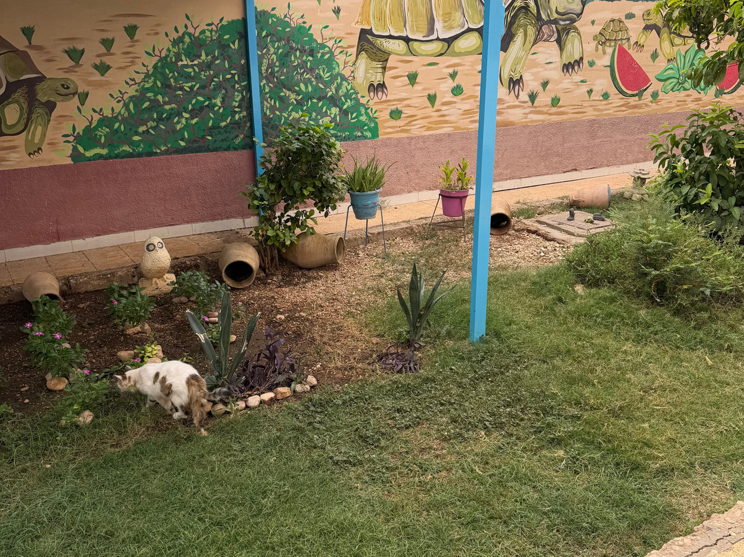 ACE - Animal Care in Egypt-卢克索必去景点