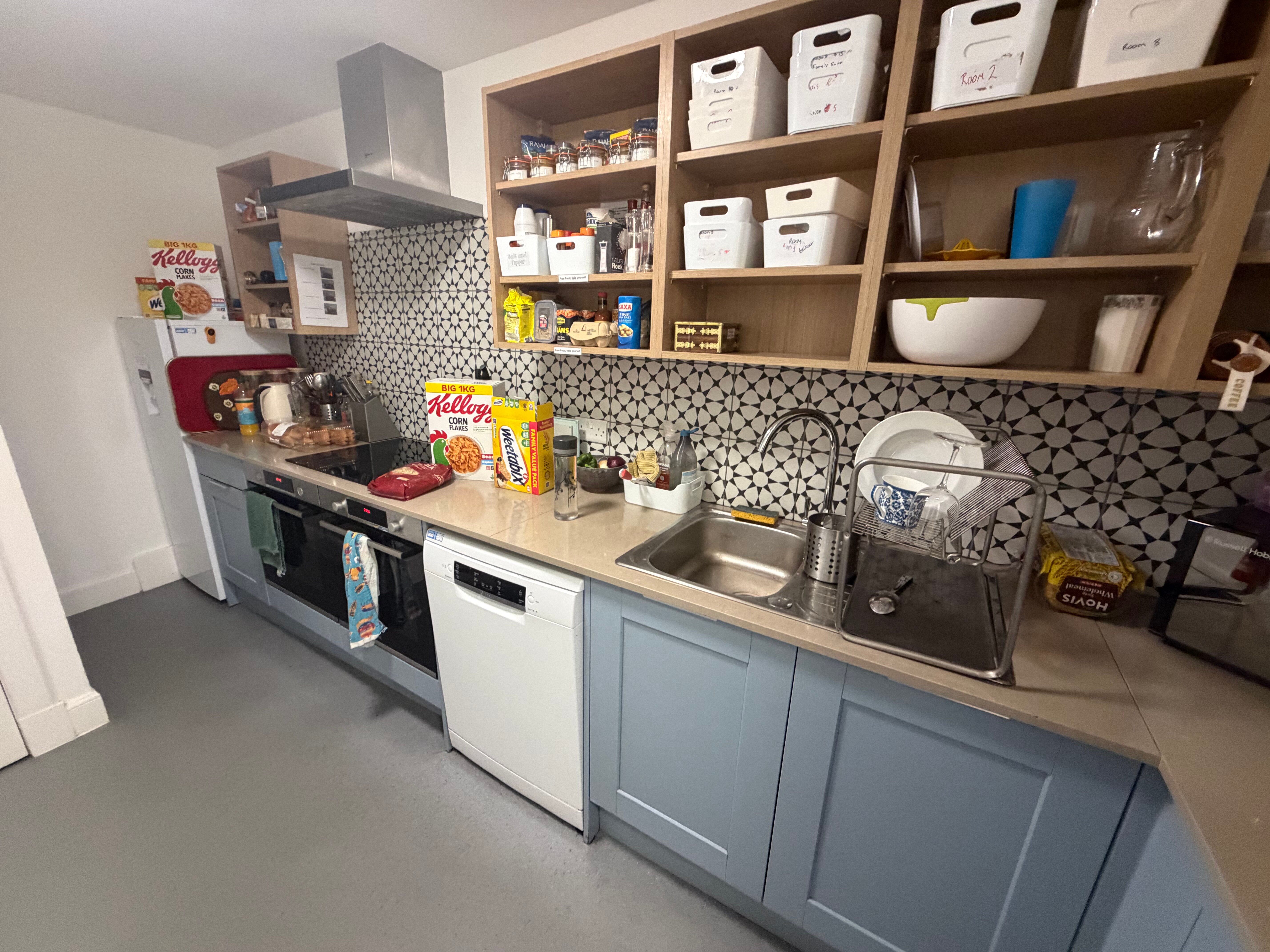 The Dolphin Inn Hostel-旅行者