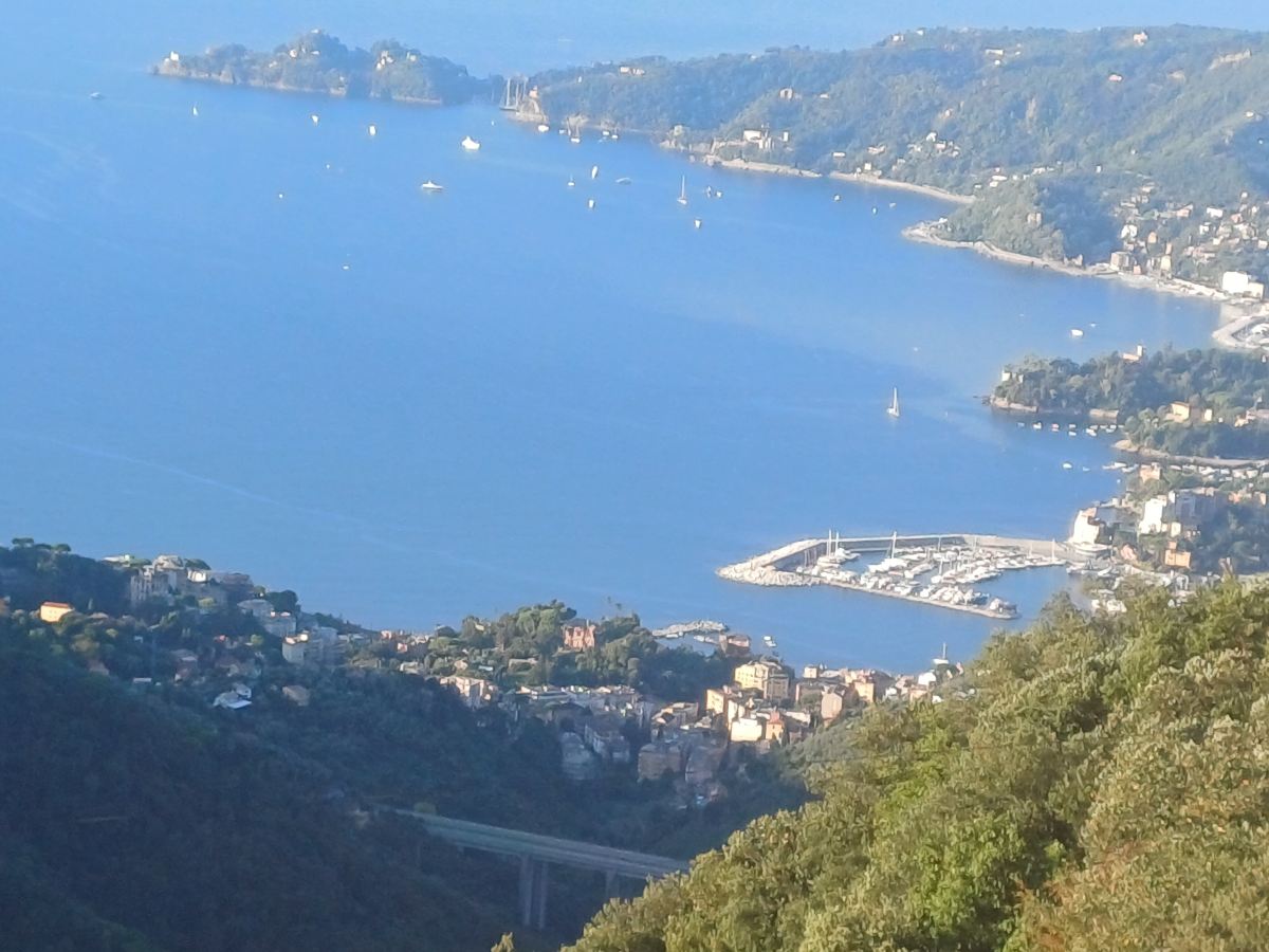 蒙塔列格罗酒店-旅行者