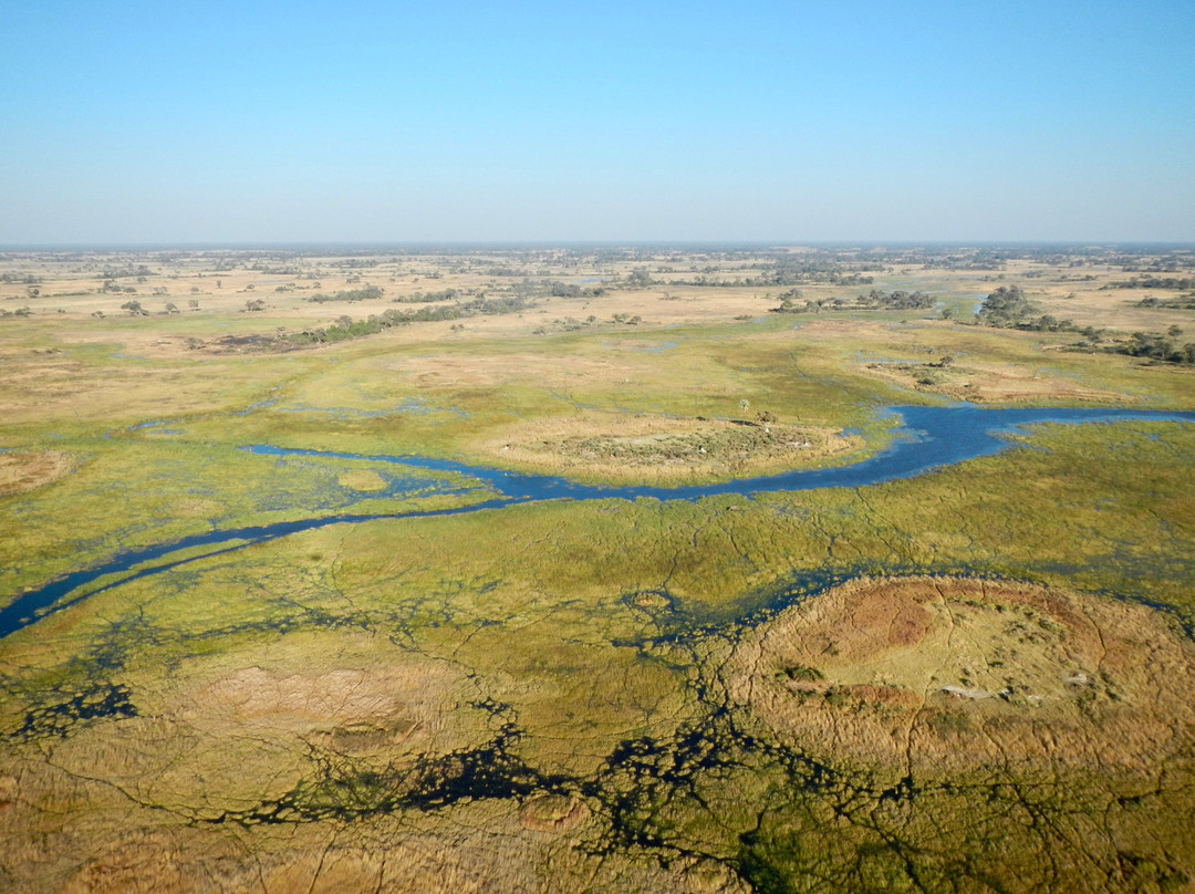 Okavango Delta-马翁必去景点