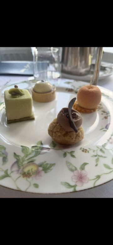 Dromoland Castle Hotel-旅行者