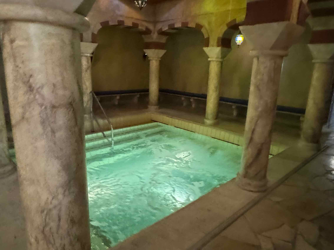 Meses Shiraz Hotel主图