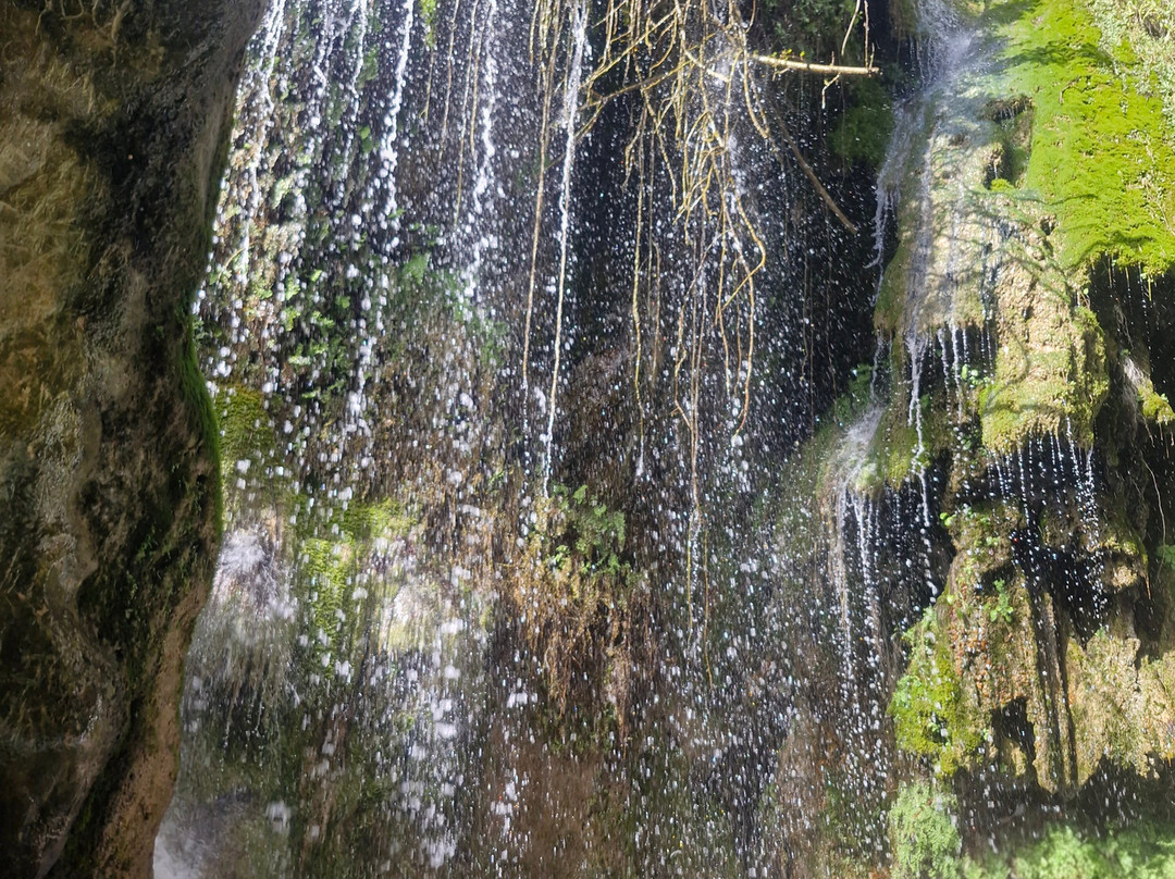 l'Algar Waterfalls-Callosa d'En Sarria必去景点
