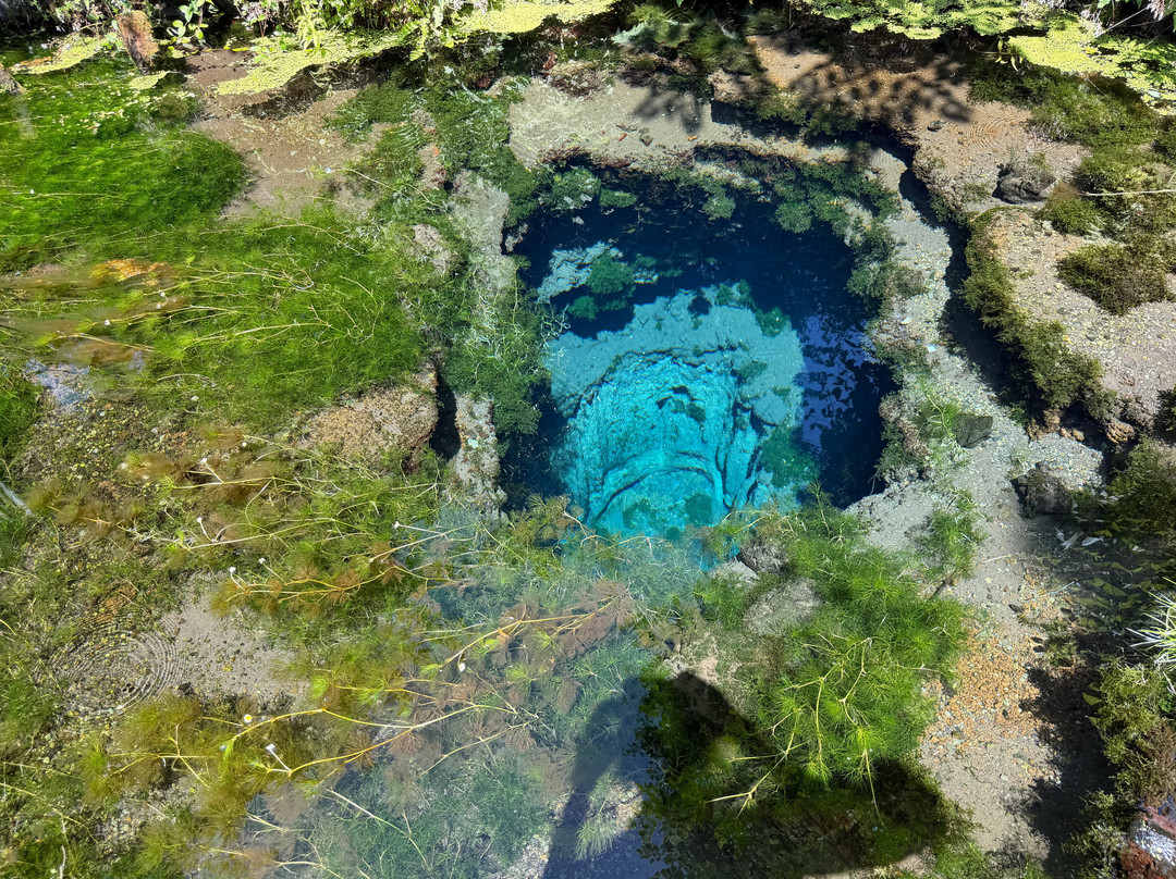 Okama Pond-忍野村必去景点