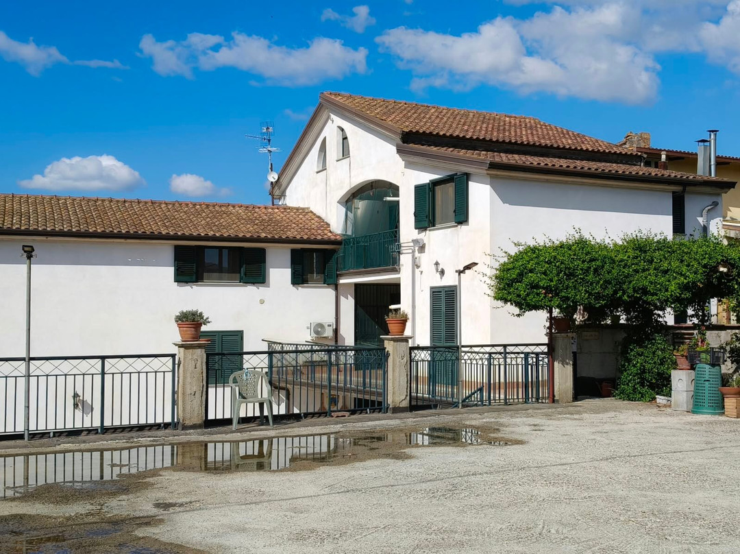 B&B Domus Elisa主图