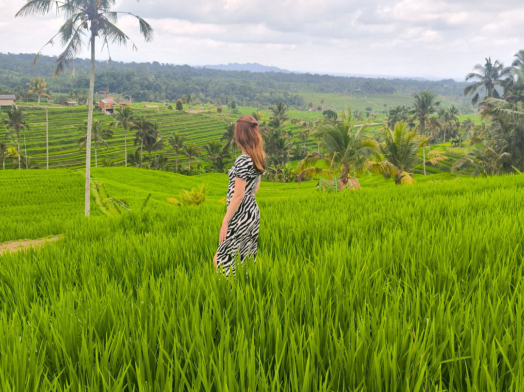 Bali and Car - Rent a car with driver-Dangin Puri必去景点