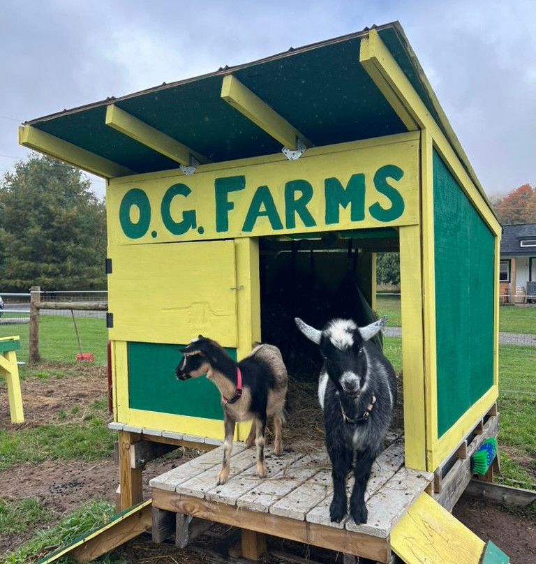 O.G. Farms-West Kill必去景点