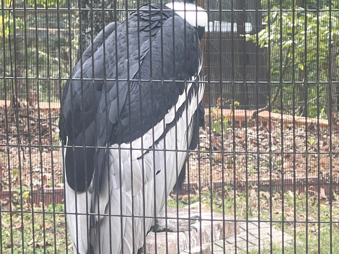 World Bird Sanctuary-Valley Park必去景点